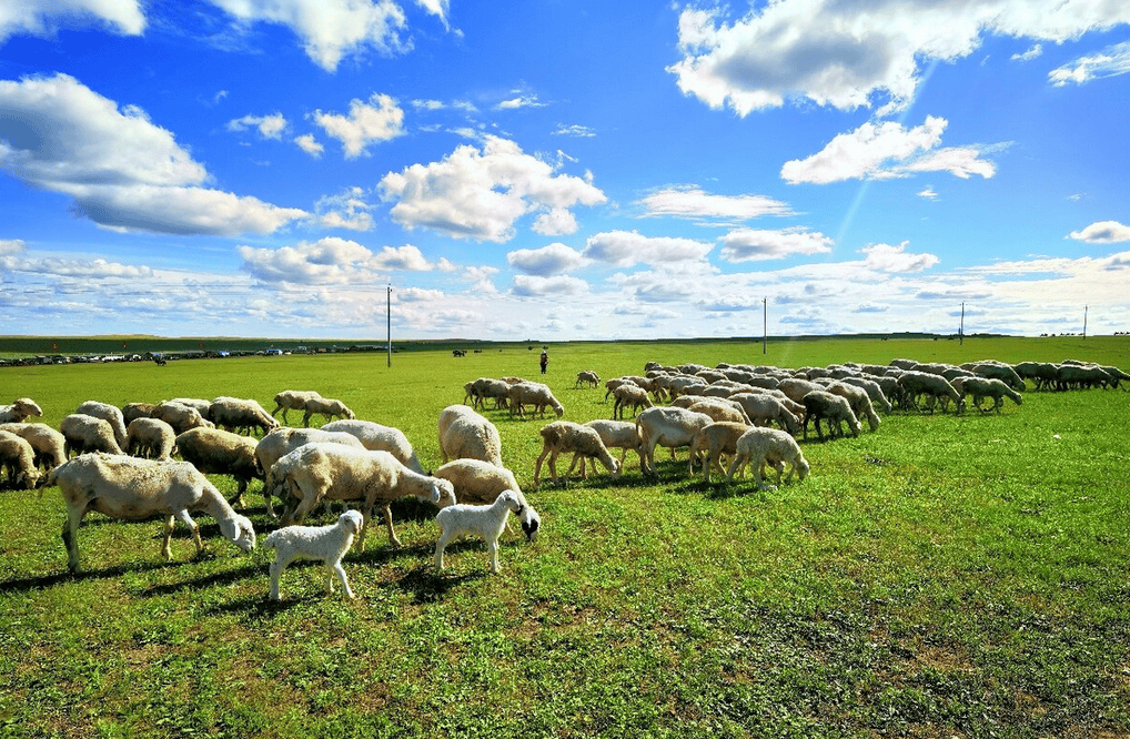 樂林丨讓每個人，樂享品質涮烤生活